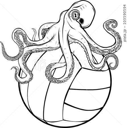 vector illustration of with volleyball ball on white background vector illustration of with volleyball ball on white background 103590594