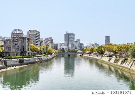 広島県広島市　桜が満開の広島平和記念公園と原爆ドーム 103591075