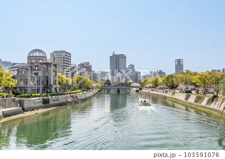 広島県広島市 桜が満開の広島平和記念公園と原爆ドーム 広島県広島市 桜が満開の広島平和記念公園と原爆ドーム 103591076