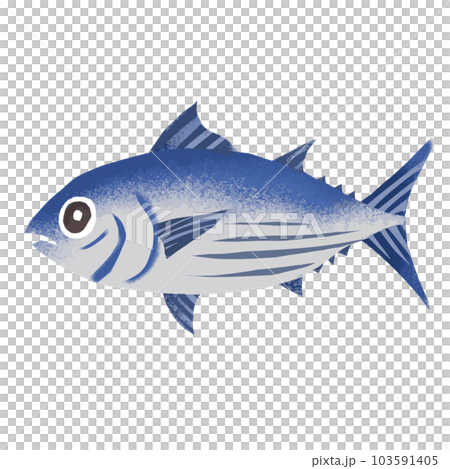 鰹の水彩風イラスト 103591405