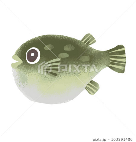 フグの水彩風イラスト 103591406