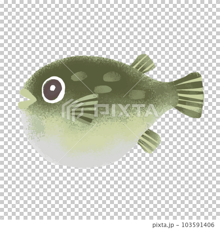フグの水彩風イラスト 103591406