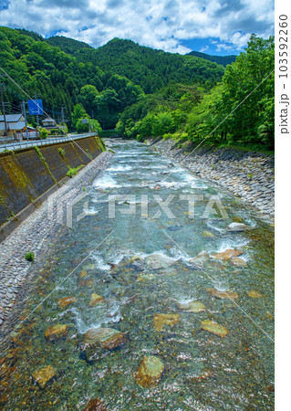 西大芦フォレストビレッジ　大芦川　新緑の風景　鹿沼市　 103592260