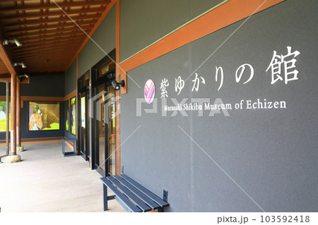 紫式部と国府資料館 紫ゆかりの館 紫式部と国府資料館 紫ゆかりの館 103592418