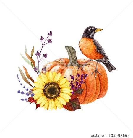 Autumn vintage style decor with pumpkin and american robin bird. Watercolor illustration. Pumpkin, leaves, berries lavender floral decoration. Hand drawn cozy autumn decor with perched robin bird 103592668