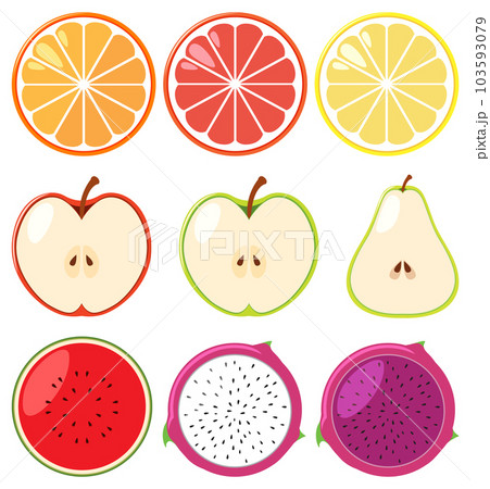 A collection of different fruitsのイラスト素材 [103593079