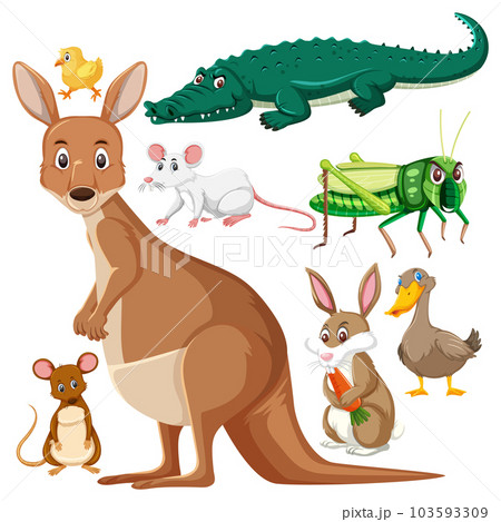 Set of cute wildlife cartoon character 103593309