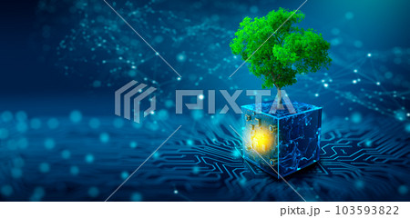 Tree growing on Circuit Digital Cube. Digital and Technology Convergence. Blue light and Wireframe network background. Green Computing, Green Technology, Green IT, csr, and IT ethics Concept. 103593822