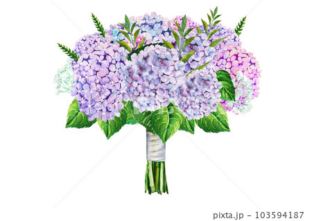 Watercolor illustration of a beautiful hydrangea bouquet in a gift box 103594187