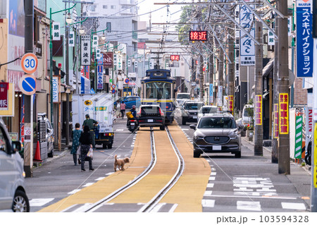 《神奈川県》江ノ電が走る湘南の街並み 《神奈川県》江ノ電が走る湘南の街並み 103594328