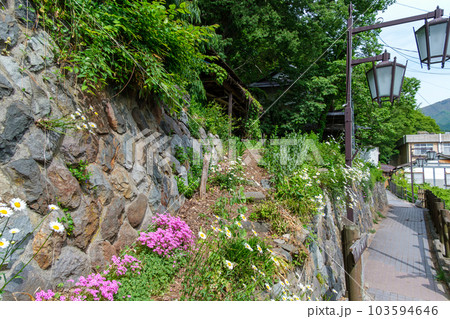 温泉街の散策路 温泉街の散策路 103594646