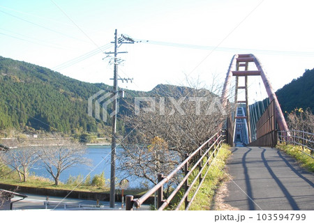 未成線 旧国鉄佐久間線の鉄橋は「夢のかけ橋」として利用(浜松市天竜区) 未成線 旧国鉄佐久間線の鉄橋は「夢のかけ橋」として利用(浜松市天竜区) 103594799