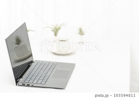 屋内の白いテーブル上のノートパソコンとエアープランツとコーヒーカップ 屋内の白いテーブル上のノートパソコンとエアープランツとコーヒーカップ 103594811