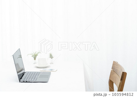 屋内の白いテーブル上のノートパソコンとエアープランツとコーヒーカップ 屋内の白いテーブル上のノートパソコンとエアープランツとコーヒーカップ 103594812