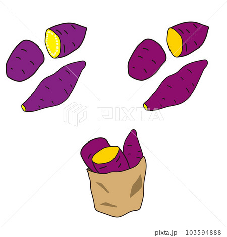 生のさつまいも、焼き芋　イラスト 103594888