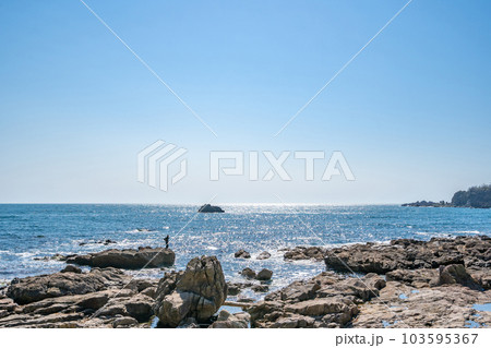 加茂青砂海岸　磯釣り　釣り人 103595367