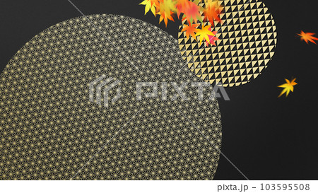 秋の和風素材 103595508