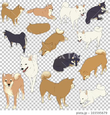 Hokkori Shiba Inu [Transparent data] 103595679