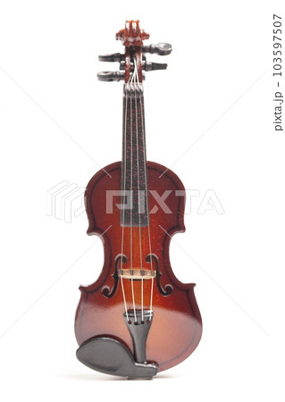 Violin isolate on white background Violin isolate on white background 103597507