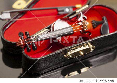 violin with bow in red velvet case 103597546