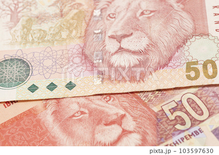 South African money 50 rand banknote. 103597630