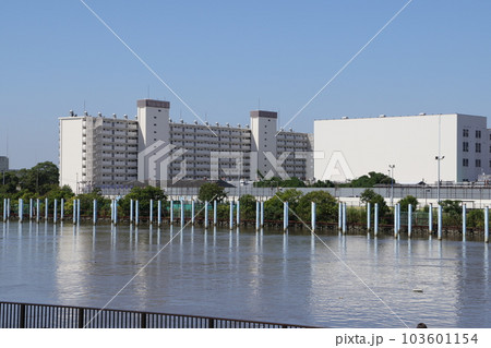 旧江戸川と千葉県市川市本行徳の風景の写真素材 [103601154] - PIXTA