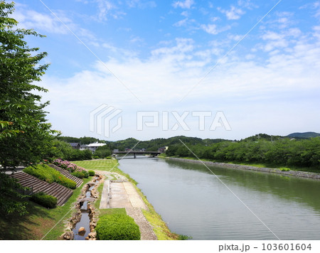 さくら橋から望む田布施川(山口県熊毛郡田布施町) さくら橋から望む田布施川(山口県熊毛郡田布施町) 103601604