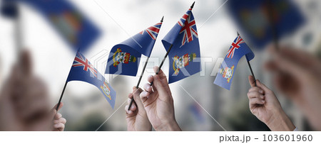 A group of people holding small flags of the Cayman Islands in their hands 103601960