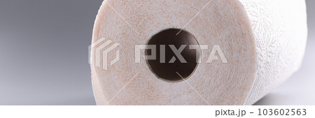 Roll of white toilet paper on gray background Roll of white toilet paper on gray background 103602563