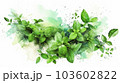 ハーブのミント(mint)水彩スケッチ風イラスト【白背景】 103602822