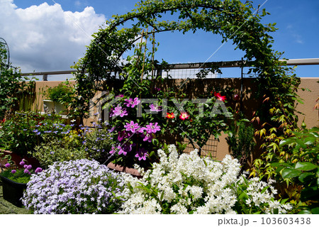 青空の下、春の植物を楽しむ　お花満開のマンションのルーフバルコニー 103603438