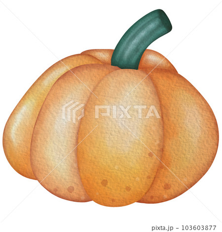 pumpkinのイラスト素材 [103603877] - PIXTA