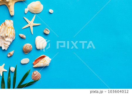 Summer time concept Flat lay composition with beautiful starfish and sea shells on colored table, top view with copy space for text Summer time concept Flat lay composition with beautiful starfish and sea shells on colored table, top view with copy space for text 103604012