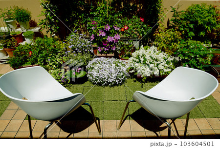 ルーフバルコ二をフルに活用　寄せ鉢のフラワーガーデン　椅子を出しておうちでカフェ気分 103604501