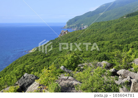 雄冬岬展望台より日本海を望む 103604781