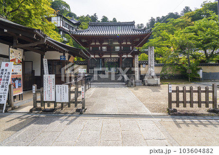 龍蓋寺（岡寺）仁王門　新緑の季節　--奈良県高市郡明日香村岡-- 103604882