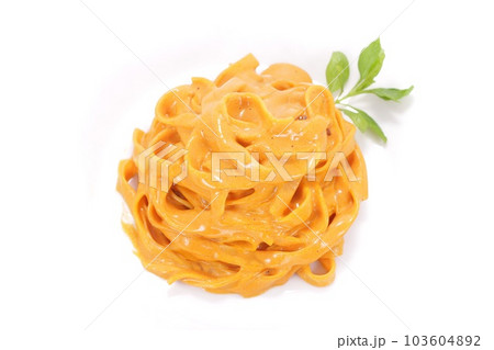 エビ風味のトマトクリームソース パスタ 明るい背景 幅広麺 タリアテッレ エビ風味のトマトクリームソース パスタ 明るい背景 幅広麺 タリアテッレ 103604892