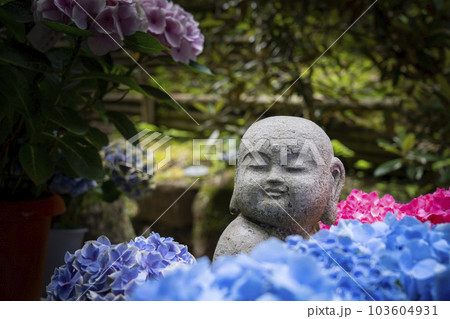 龍蓋寺（岡寺）　奥之院紫陽花回廊　--奈良県高市郡明日香村岡-- 103604931