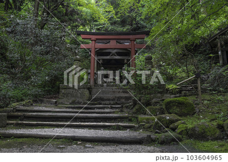 龍蓋寺(岡寺) 新緑に包まれた奥之院稲荷社 --奈良県高市郡明日香村岡-- 龍蓋寺(岡寺) 新緑に包まれた奥之院稲荷社 --奈良県高市郡明日香村岡-- 103604965