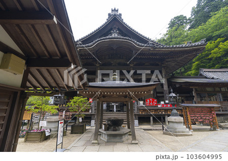 龍蓋寺（岡寺）本堂　--奈良県高市郡明日香村岡-- 103604995