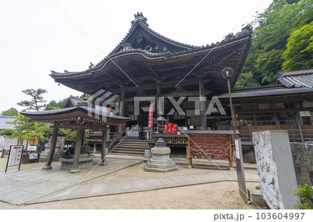 龍蓋寺（岡寺）本堂　--奈良県高市郡明日香村岡-- 103604997