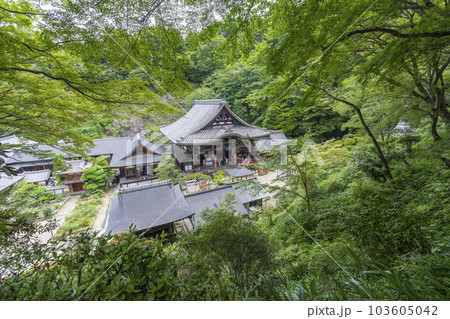 龍蓋寺（岡寺）を見下ろす　--奈良県高市郡明日香村岡-- 103605042