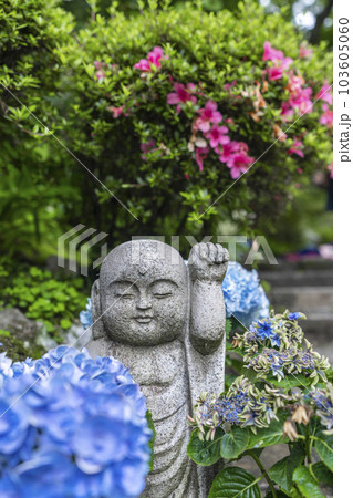 龍蓋寺（岡寺）　奥之院紫陽花回廊　--奈良県高市郡明日香村岡-- 103605060