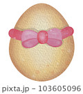 egg 103605096