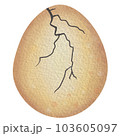 egg 103605097