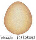 egg 103605098