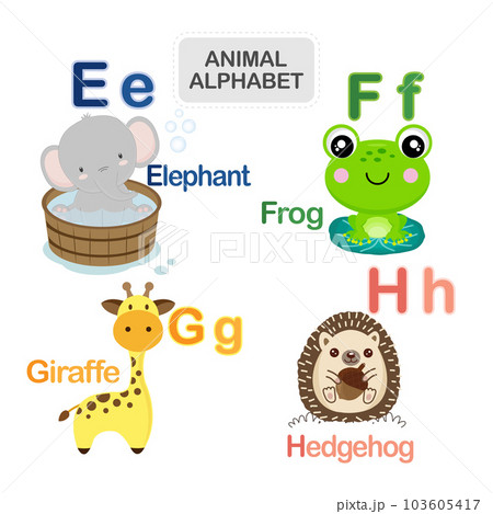 English alphabet with cute animals vector illustration. English alphabet with cute animals vector illustration. 103605417