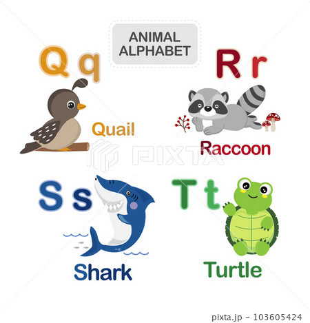 English alphabet with cute animals vector illustration. English alphabet with cute animals vector illustration. 103605424