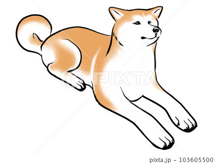 渋谷駅でご主人を待ち続けた秋田犬ハチ 103605500