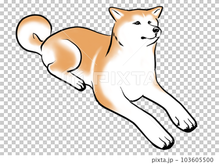 渋谷駅でご主人を待ち続けた秋田犬ハチ 103605500